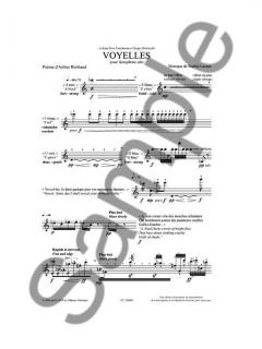 Voyelles von Sophie Lacaze 
