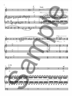 The Place Of Understanding von Nico Muhly 