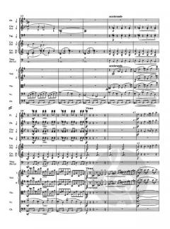 Sinfonie Nr. 7 d-Moll op. 70 von Antonín Dvorák 