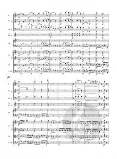 Konzert für Klavier und Orchester Nr. 2 B-Dur op. 19 von Ludwig van Beethoven im Alle Noten Shop kaufen