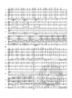 Konzert für Klavier und Orchester Nr. 5 Es-Dur op. 73 von Ludwig van Beethoven im Alle Noten Shop kaufen