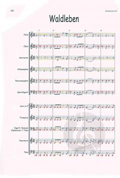 Wind and Brass in Class - Band 2 - Lehrerhandbuch 