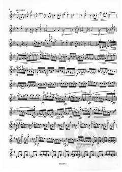 Concerto Nr. 1 op. 1 von Leo Portnoff für Violine und Klavier im Alle Noten Shop kaufen