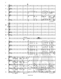 Requiem op. 89 von Antonín Dvorák für Soli, Chor und Orchester im Alle Noten Shop kaufen (Partitur)
