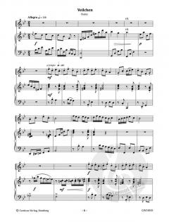 Blockflötengarten (Gisbert Näther) 