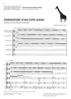 Safari (Raphael Benjamin Meyer) 