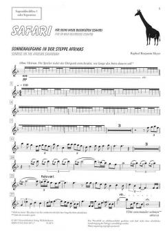 Safari (Raphael Benjamin Meyer) 