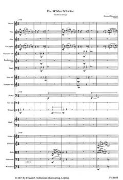 Die wilden Schwäne von Eberhard Klemmstein 