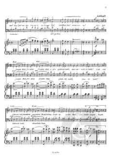 An der schönen blauen Donau Op. 314 (Johann Strauss (Vater)) 