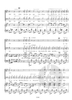Fliegermarsch aus der Operette 'Der fliegende Rittmeister' (Hermann Dostal) 