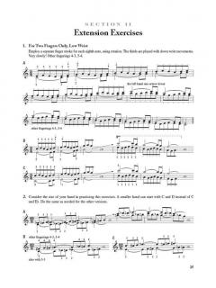 Fundamentals Of Piano Technique: The Russian Method von Leon & Olga Conus 