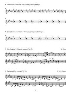 Violinist's Guide To Scottish Fiddling von Melinda Crawford Perttu im Alle Noten Shop kaufen