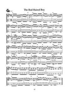 Irish Mandolin Playing: A Complete Guide von Philip John Berthoud im Alle Noten Shop kaufen