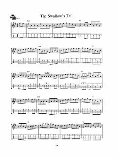 Irish Mandolin Playing: A Complete Guide von Philip John Berthoud im Alle Noten Shop kaufen