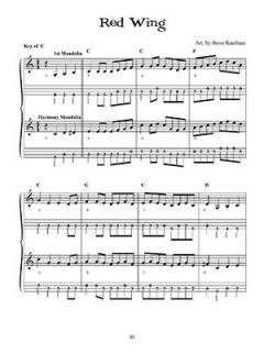 Blazing Mandolin Solos von Steve Kaufman im Alle Noten Shop kaufen