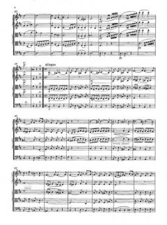 Sinfonia 10 h-moll von Felix Mendelssohn Bartholdy 