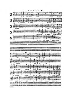 Sämtliche Werke: Madrigale Buch 6 (Carlo Gesualdo) 