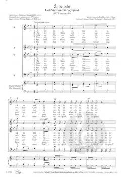 In der Natur op. 63 (Antonín Dvorák) 