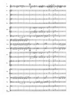 Immer kleiner ('Always Smaller') (Adolph Schreiner) 