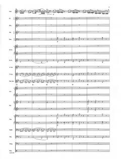 Immer kleiner ('Always Smaller') (Adolph Schreiner) 