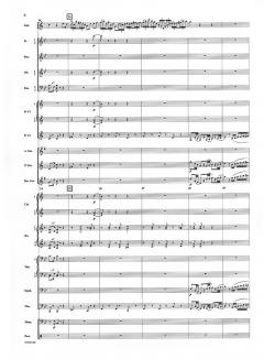 Immer kleiner ('Always Smaller') (Adolph Schreiner) 