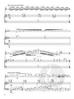 Pilgrim Concerto von Thomas Doss 