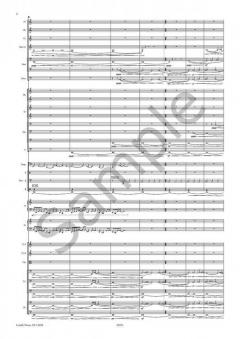 Drifts von Sebastian Fagerlund Für Orchester im Alle Noten Shop kaufen (Partitur)