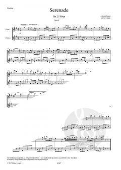 Serenade op. 6 von Antoine Bayer für 2 Flöten im Alle Noten Shop kaufen