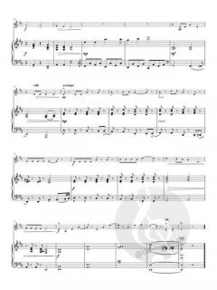 El violín del niño von Pascal Proust 