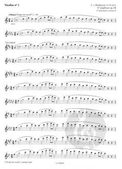 Le Souffle, Le Son von Philippe Bernold 