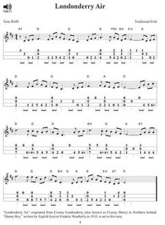 20 Irish Tunes And Songs For Mountain Dulcimer 