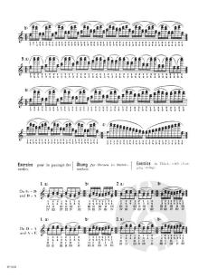 The Dounis Collection 