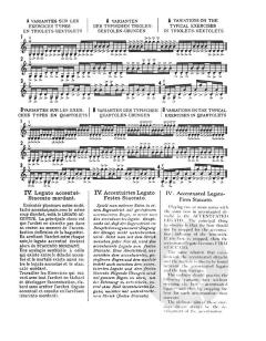 The Dounis Collection 