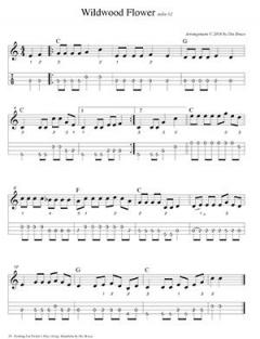 Parking Lot Picker's Play-Along (Mandolin) von Dix Bruce im Alle Noten Shop kaufen