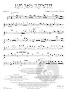 Lady Gaga In Concert (Lady Gaga) 