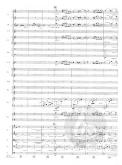 The Book Thief (Die Bücherdiebin) von John Williams 