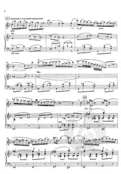 The Carnival Of Venice op. 78 von Giulio Briccialdi 
