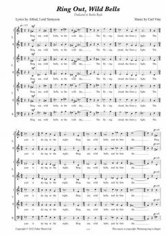 Ring Out, Wild Bells (Carl Vine) 
