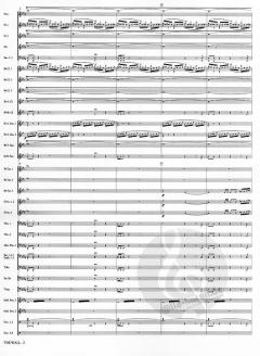 The Wall von Otto M. Schwarz 