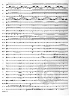 The Wall von Otto M. Schwarz 