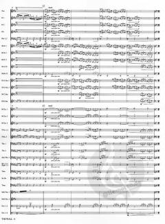 The Wall von Otto M. Schwarz 