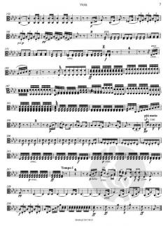 Symphonie Nr. 5 c-moll op. 67 von Ludwig van Beethoven 