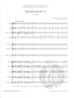 Symphonie Nr. 5 c-moll op. 67 von Ludwig van Beethoven 