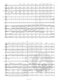 Symphonie Nr. 5 c-moll op. 67 von Ludwig van Beethoven 