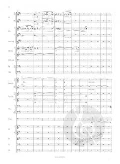 Tapiola op. 112 von Jean Sibelius 