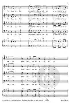 Winter hüllt ein Stadt und Land (Lorenz Maierhofer) 