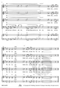 Winter hüllt ein Stadt und Land (Lorenz Maierhofer) 