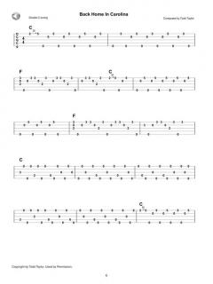 Taylor Made von Todd Taylor 