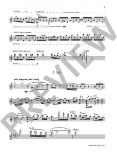 Kadenzen KV 216 von Jörg Widmann 