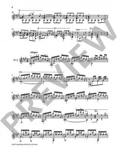 Jose Ferrer y Esteve: Estudios for Solo Guitar 